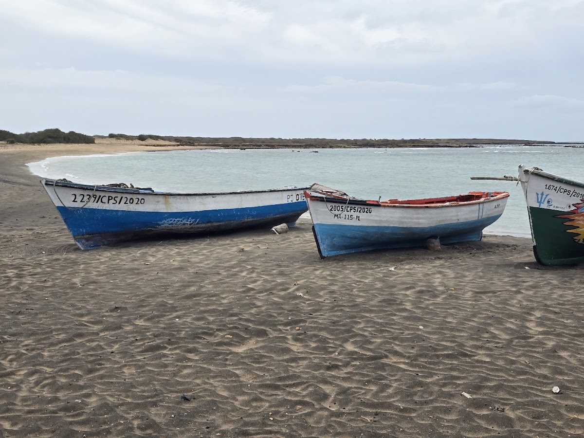 Bar Praia Baxona